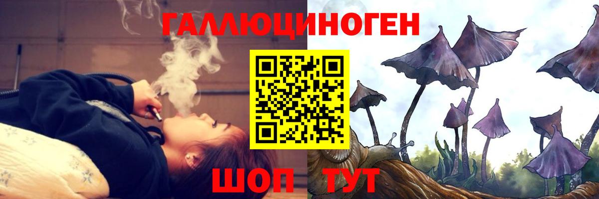 Галлюциногенные грибы мухоморы Нижний Тагил